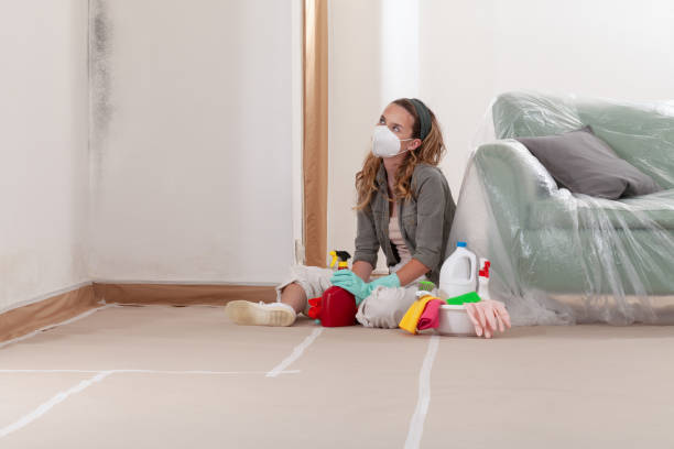 Reliable Mold Removal contractor in Lutherville Timonium, MD by WQB Mold Removal